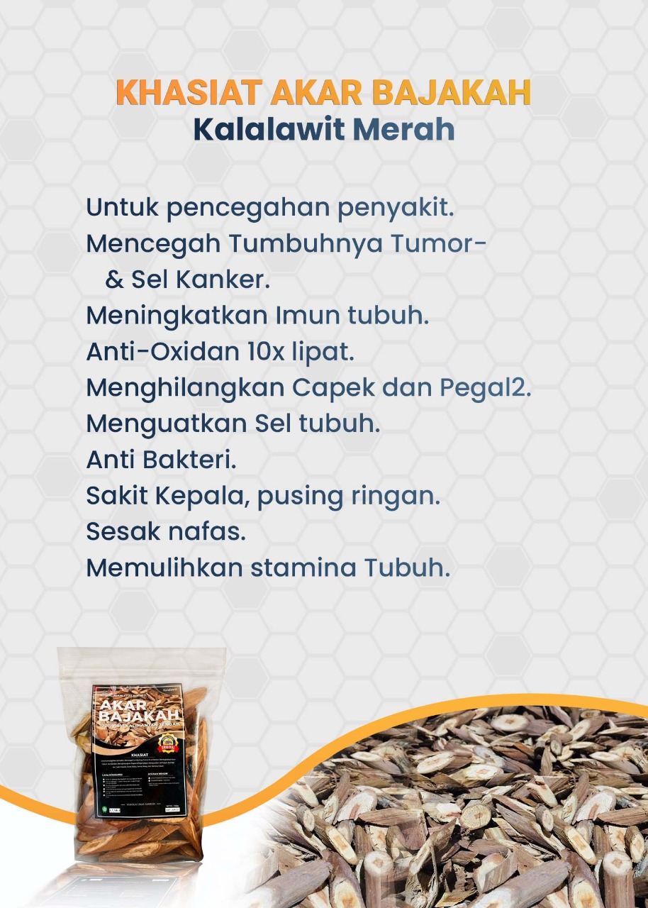 bajakah.id